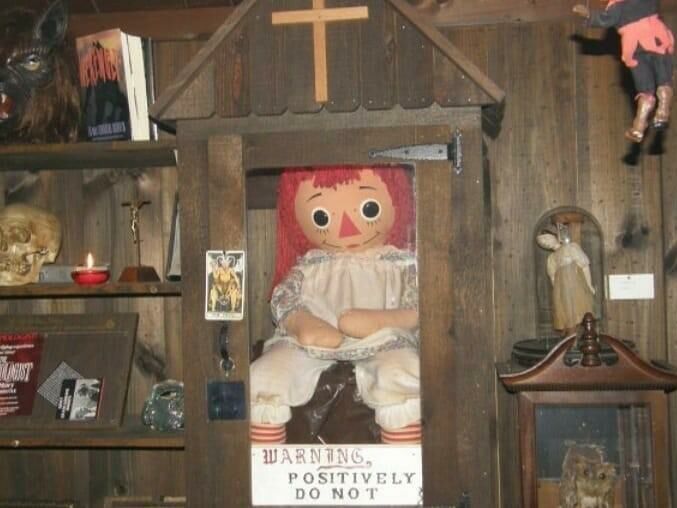 Imagem copia_1548514318Anabelle